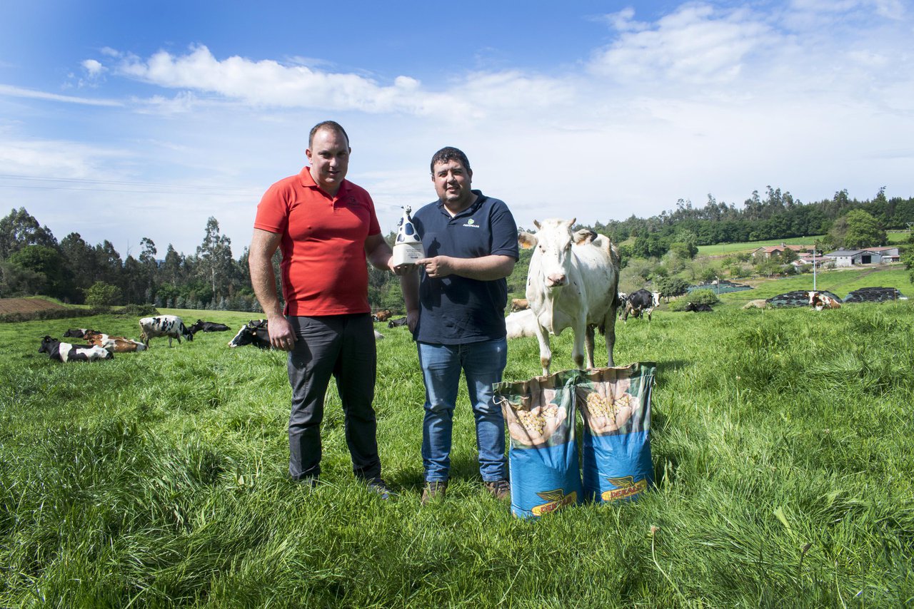 Ganadería Fandiño Rial SC recibe o premio do concurso "Outra Vaca no Millo"