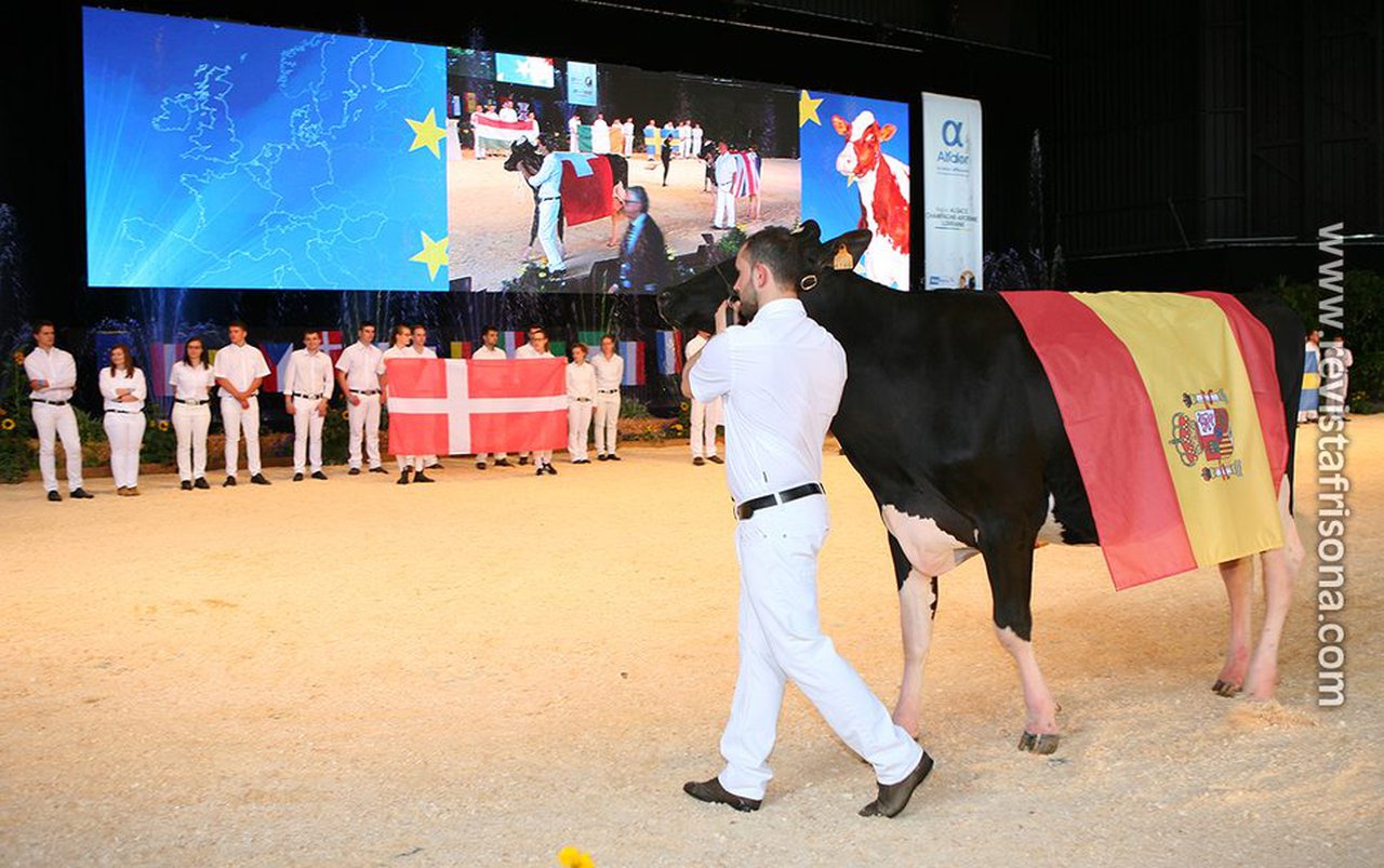 Publicada a selección española de vacas que competirá na Confrontación Europea de Raza Holstein