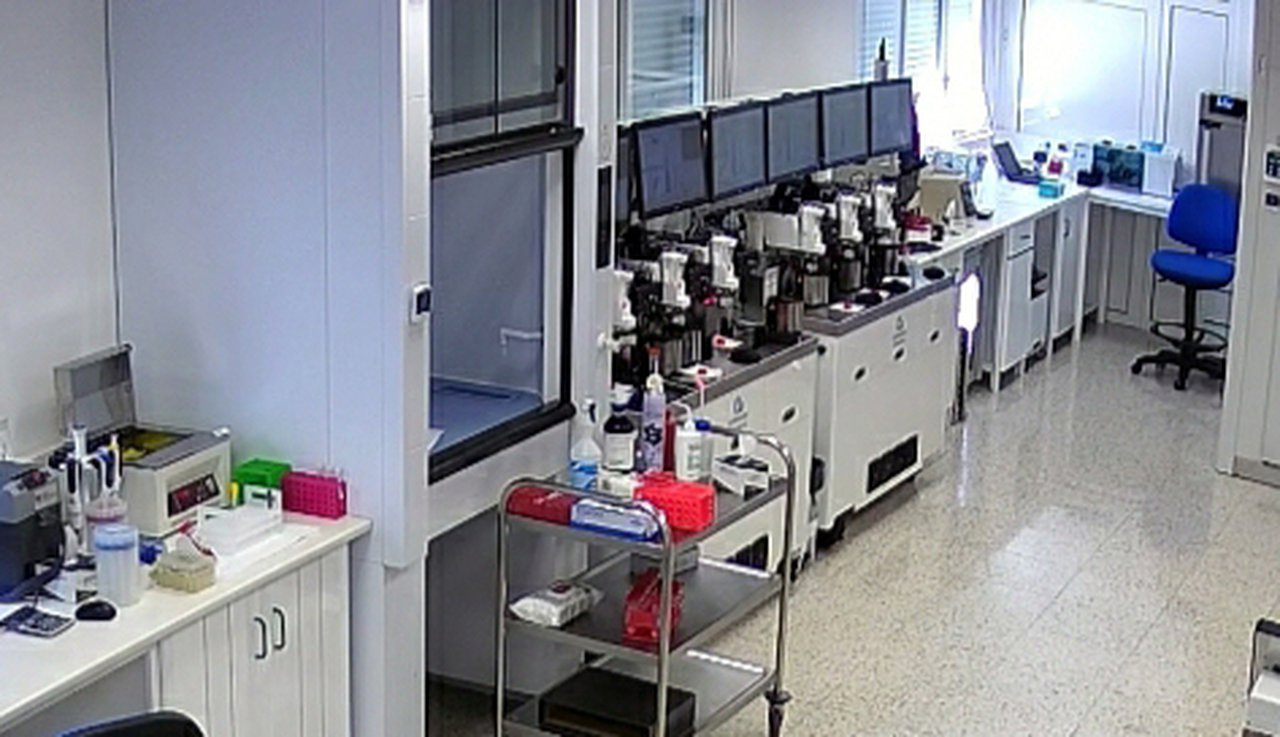 Xenética Fontao producirá entre 30.000 e 40.000 doses de seme sexado ao longo deste ano