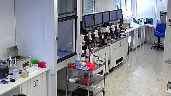 Xenética Fontao producirá entre 30.000 e 40.000 doses de seme sexado ao longo deste ano