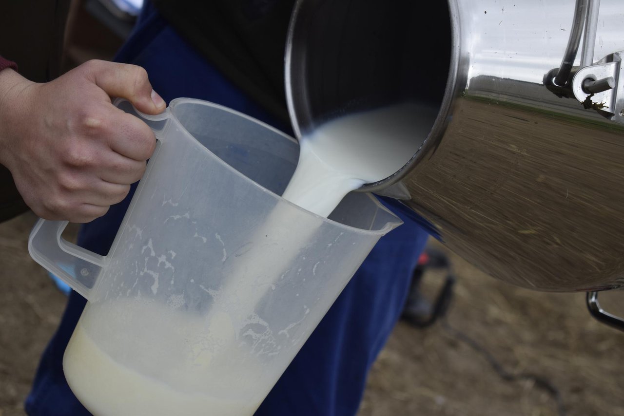 La leche, gran aliada para hidratarse en épocas estivales
