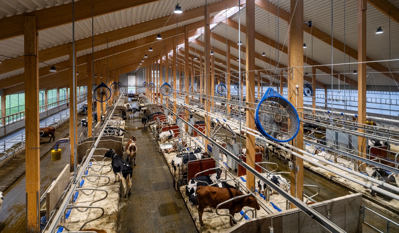 DeLaval amplía Hamra Farm e reforza a súa aposta pola innovación