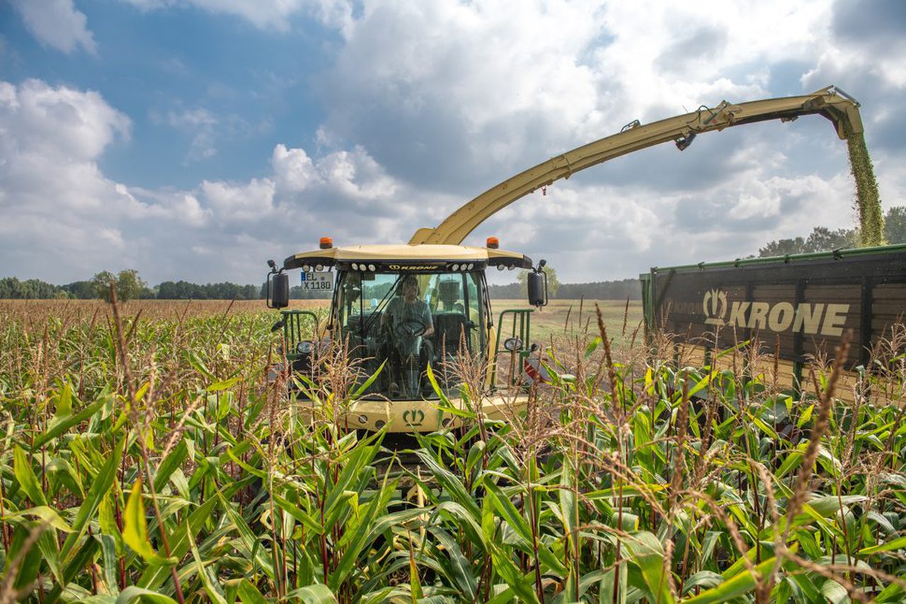 Farming Agrícola cierra 2018 con un incremento del 25 % en su facturación