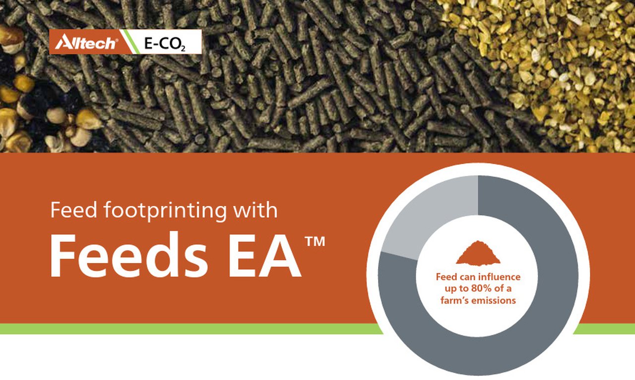 Alltech E-CO2 lanza o modelo FEEDS EA™ para axudar a fabricantes de pensos a reducir a súa pegada de carbono
