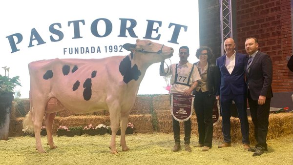 El Campgran triunfa no certame frisón de Cataluña de 2025