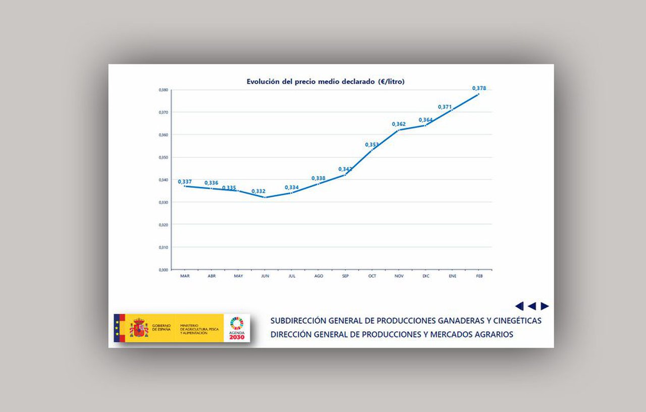 Escasa suba no prezo medio do leite que non supera os 38 céntimos/litro