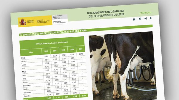 Enero mantiene el precio medio de la leche tras la subida de los últimos meses