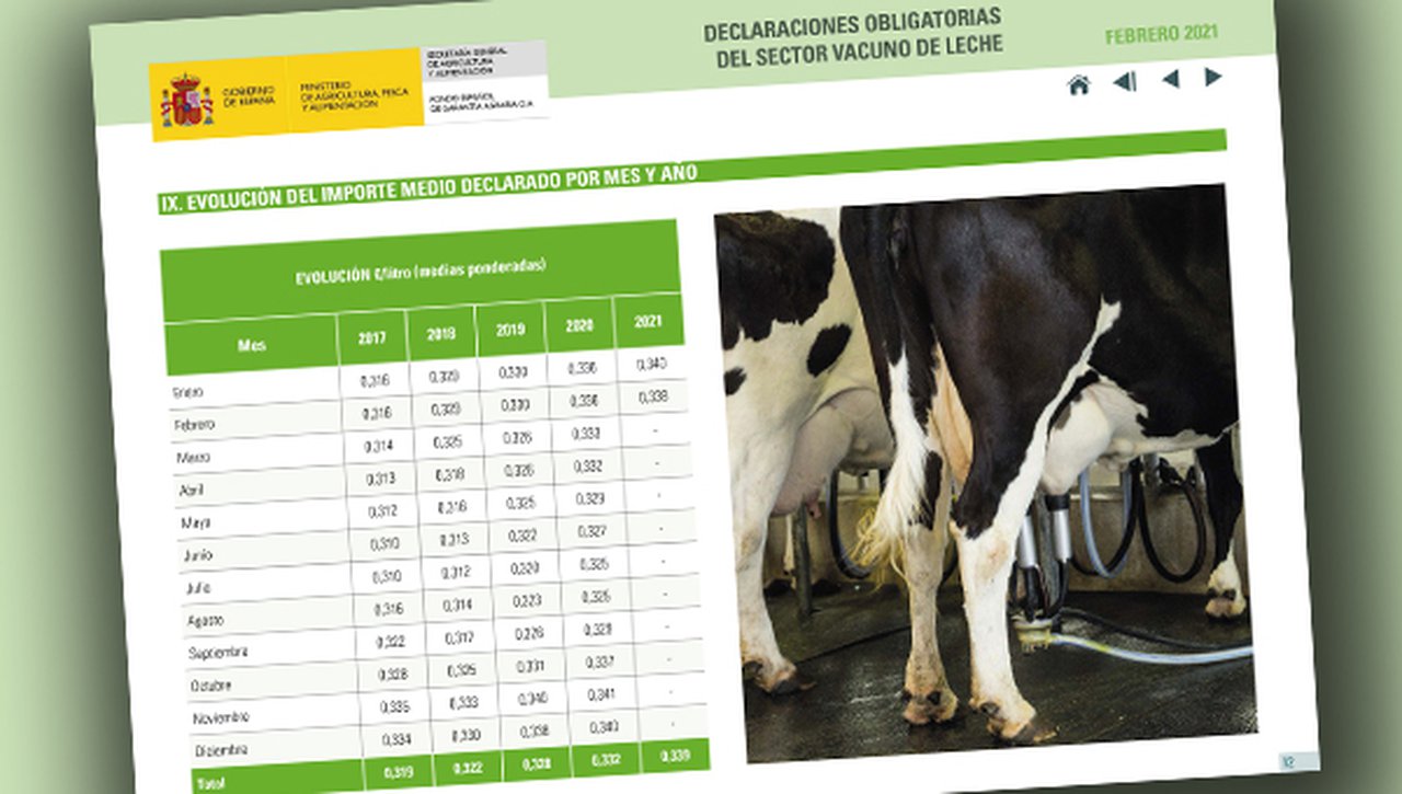 Ligera bajada del precio medio de la leche tras la subida de los últimos meses
