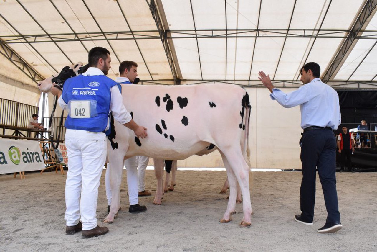 Comezamos a retransmisión do concurso frisón de Feiradeza