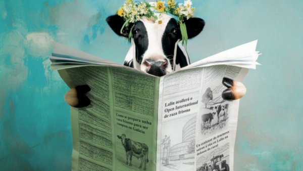 Ya en nuestra web el libro del concurso de Feiradeza