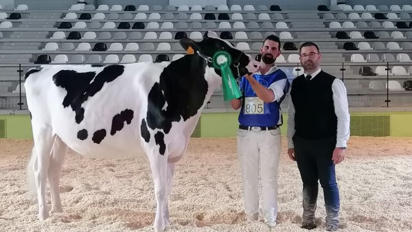 Rey 1085 Moovin Soly ET, nova xovenca gran campiona de Feiradeza