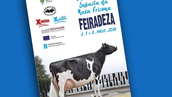 Achégase unha nova edición de Feiradeza
