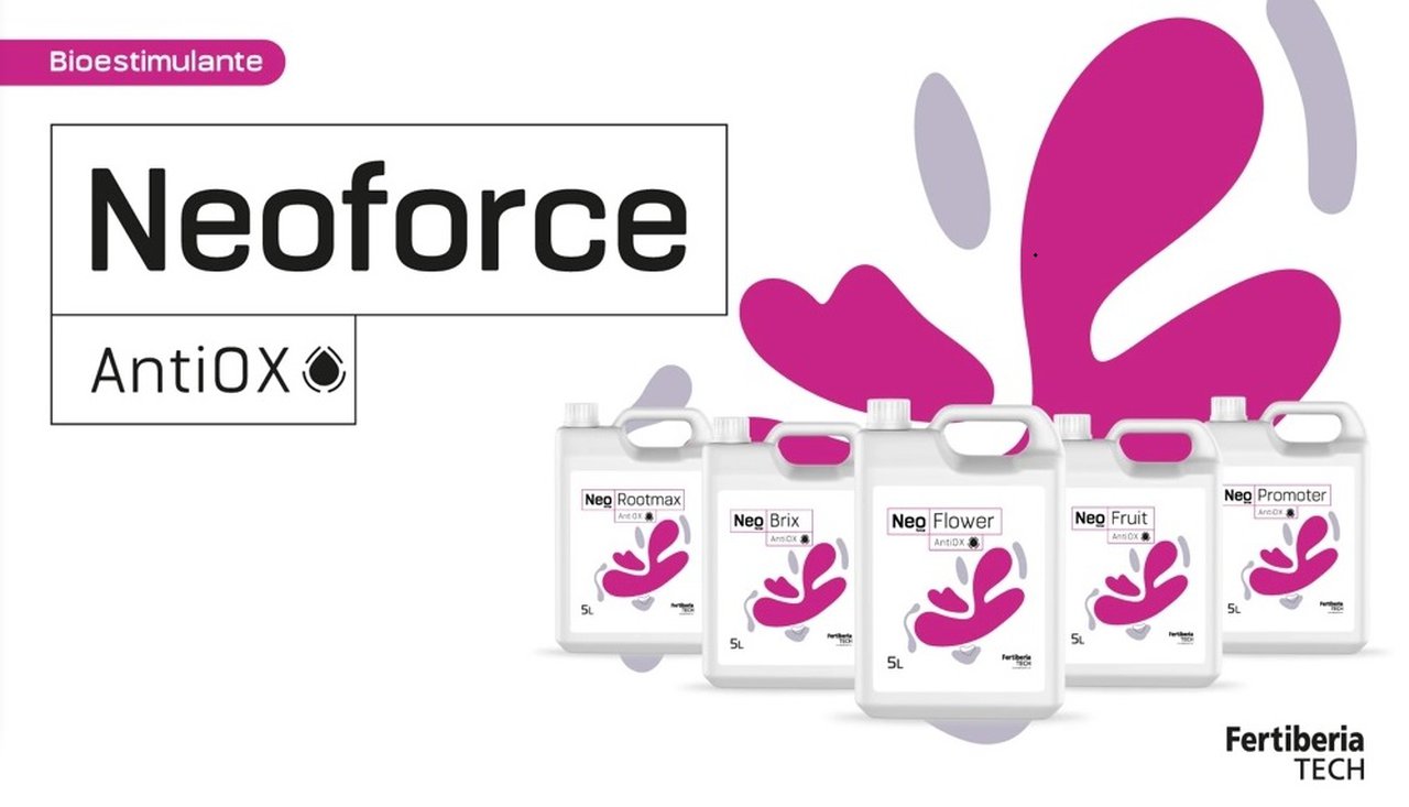Fertiberia TECH lanza Neoforce® AntiOX, un avance en bioestimulación agrícola