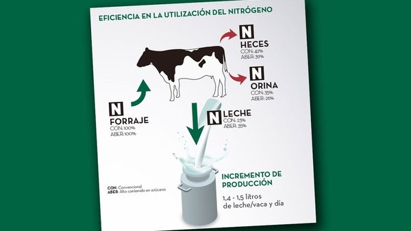 Escoller o mellor raigrás: a diferenza está no contido de azucres