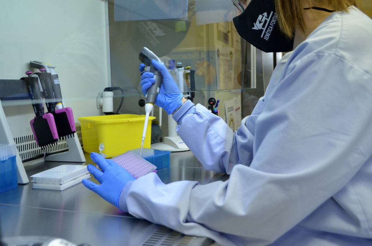 Xenética Fontao producirá en exclusiva seme sexado en España
