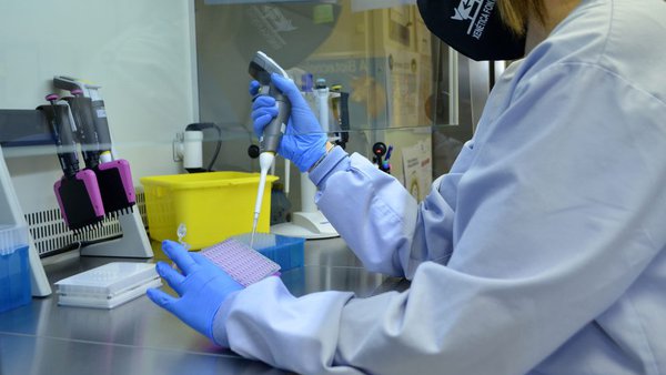 Xenética Fontao producirá en exclusiva seme sexado en España