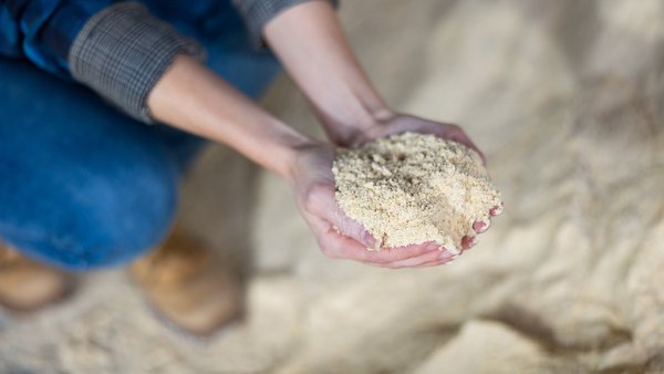 Galicia, líder nacional na produción de pensos de vacún con 1,4 millóns de toneladas ao ano