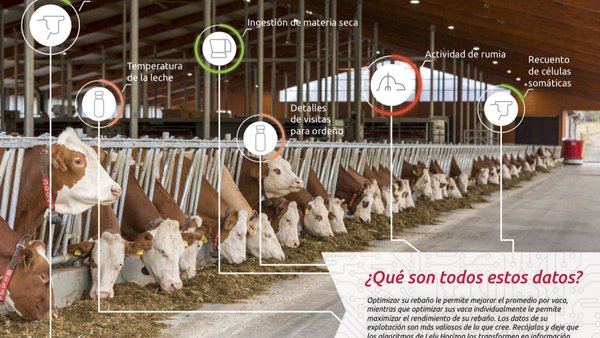 O Lely Horizon, a mellor ferramenta para o funcionamento do Vector