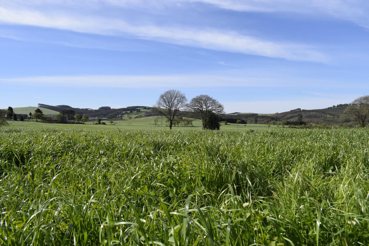 O 15 de novembro finaliza o prazo para aplicar o 5 % de bonificación no seguro de cultivos herbáceos