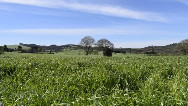 O 15 de novembro finaliza o prazo para aplicar o 5 % de bonificación no seguro de cultivos herbáceos