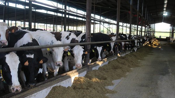 Amplíase o prazo de solicitude das axudas para a incorporación de mozos ao agro e a creación de pequenas explotacións