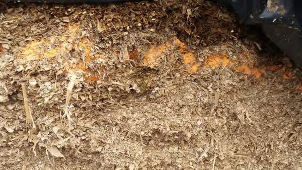 Control da fermentación nos ensilados de herba