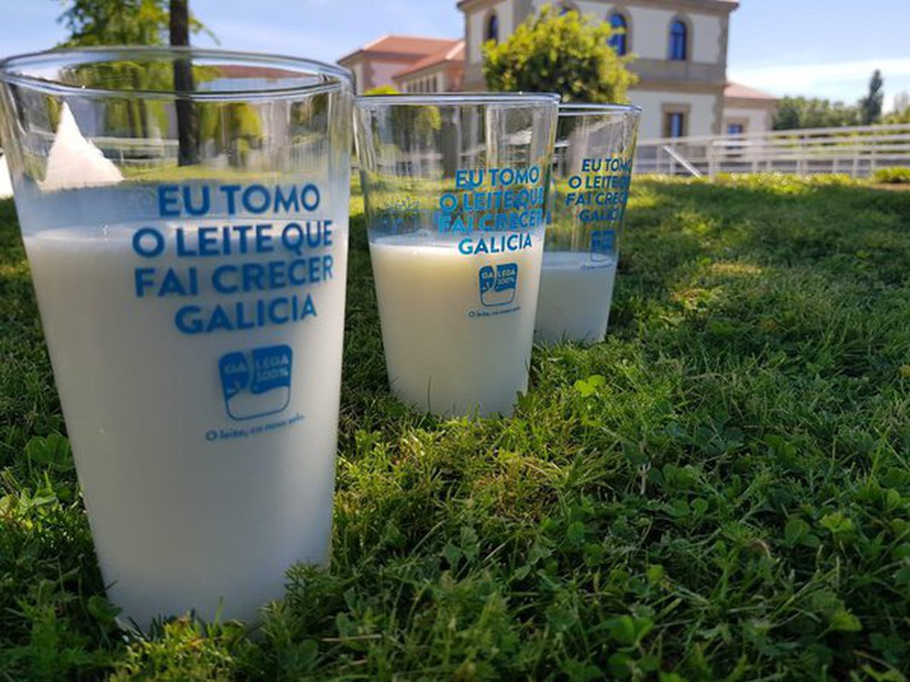 A Xunta destina 1,2 millóns de euros a axudas para subministrar froita fresca, castañas e leite a centros escolares