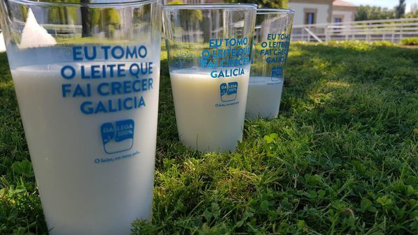 A Xunta destina 1,2 millóns de euros a axudas para subministrar froita fresca, castañas e leite a centros escolares