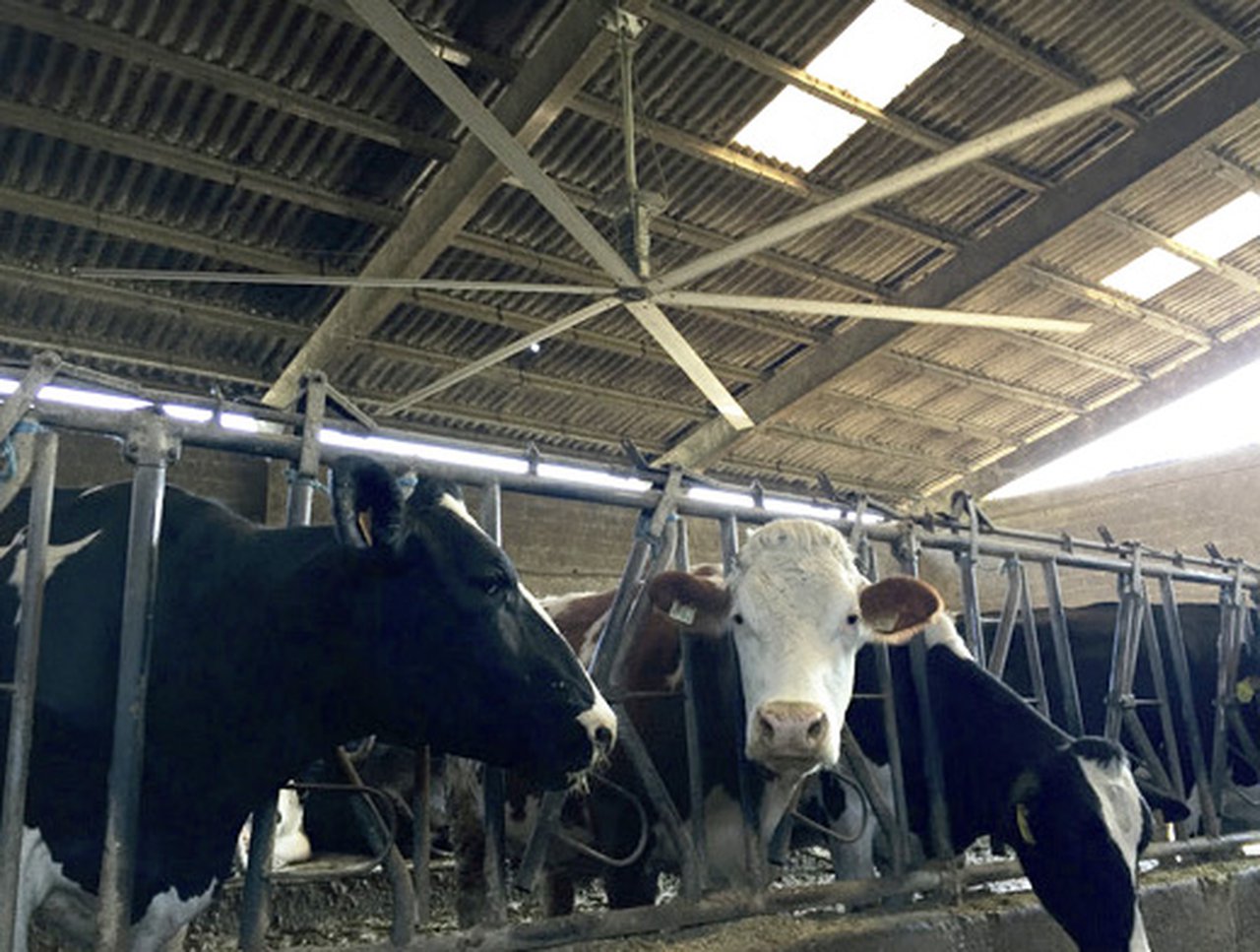 MaxXfan presenta os ventiladores HVLS