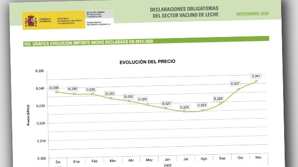 El precio medio de la leche continúa su tendencia al alza en noviembre