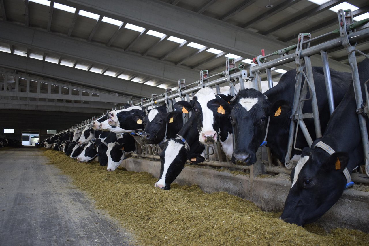 Convocadas en Galicia as axudas para o fomento da contratación de seguros agrarios