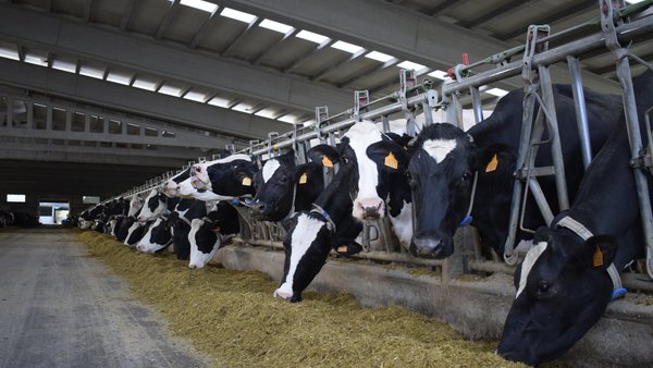 Convocadas en Galicia las ayudas para el fomento de la contratación de seguros agrarios
