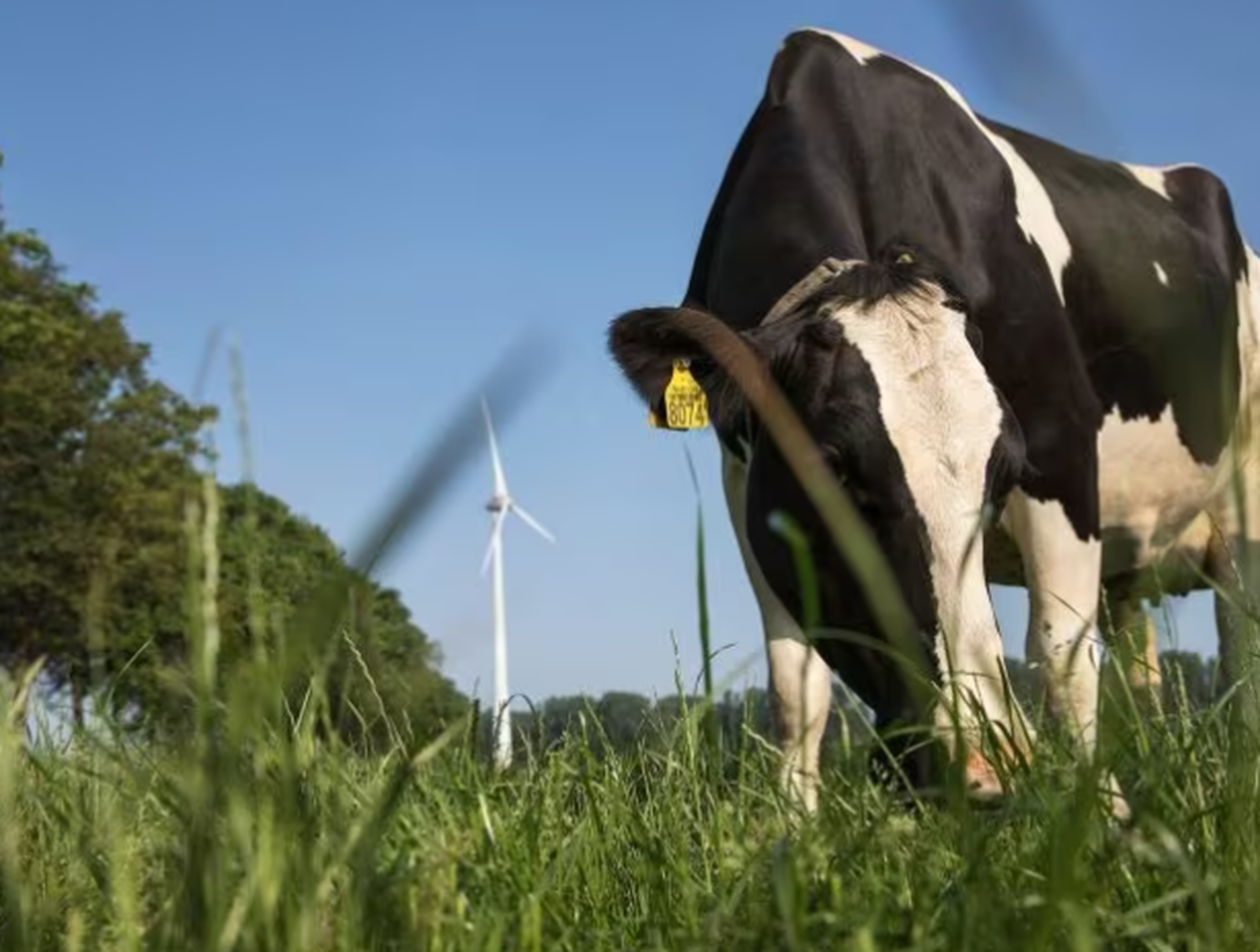 FrieslandCampina mantén no mes de xullo os prezos do leite