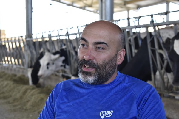 Noviercas, a bomba que arrasará todos os campos