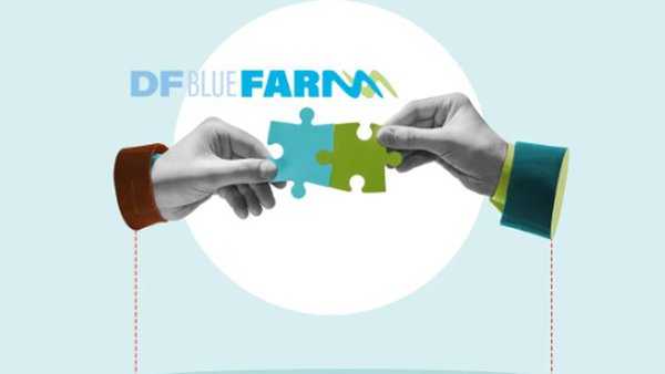 Únense a área de gandería de DFBlueagro e Innofarm