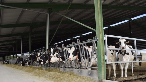 O MAPA destina 1,5 millóns de euros ás axudas para explotacións agrarias de titularidade compartida