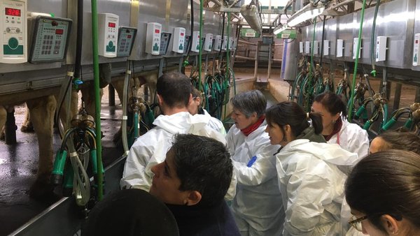 Zoetis imparte un seminario sobre secado selectivo en colaboración con Calidade Pascual