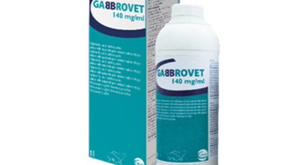 Ceva anuncia o lanzamento de Gabbrovet solución