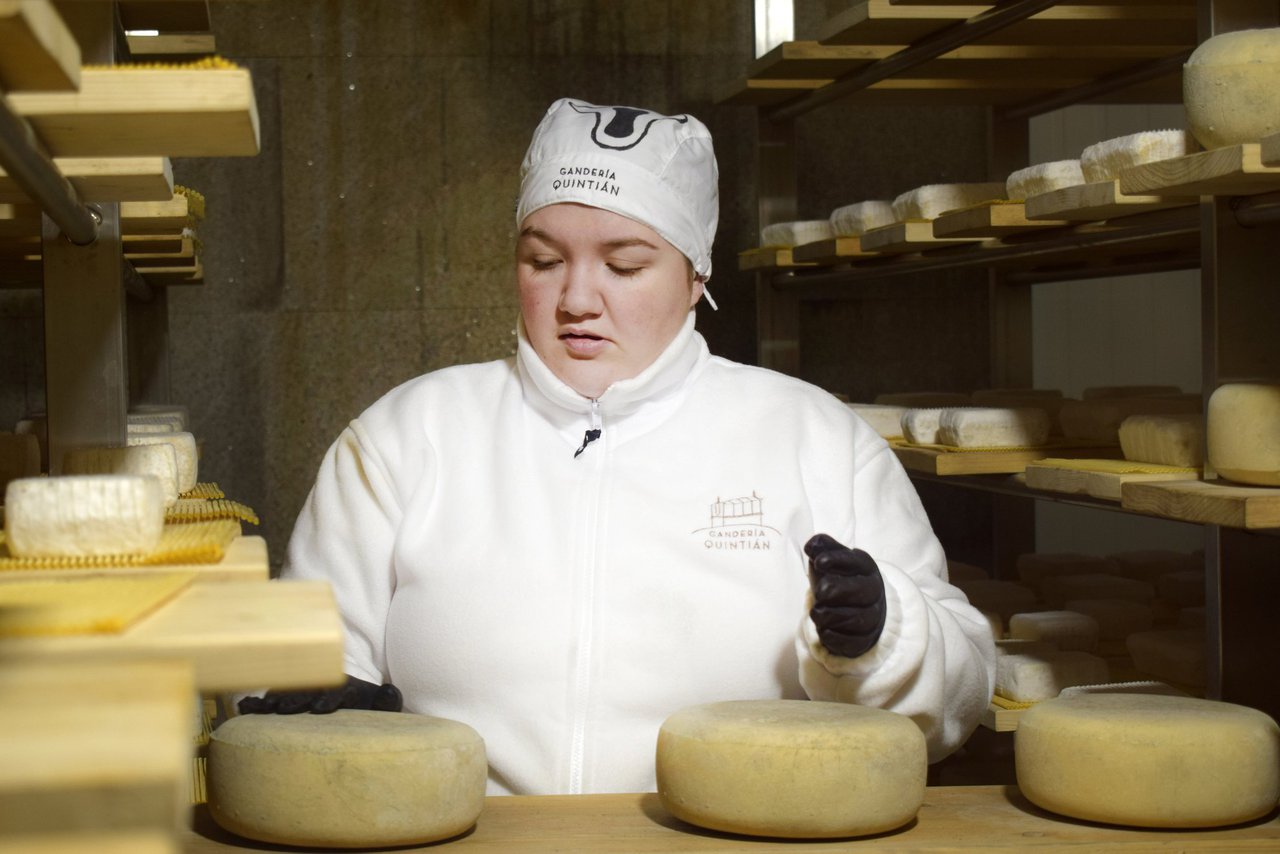 El queso Mourelo revalida la Medalla de Oro en el Concurso Internacional de Lyon por segundo año consecutivo