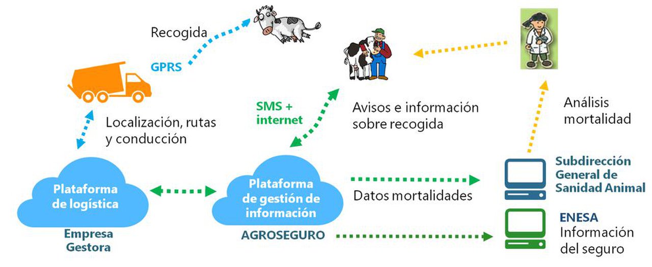Nace a Plataforma de Vixilancia Sindrómica Veterinaria