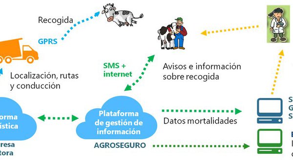 Nace a Plataforma de Vixilancia Sindrómica Veterinaria