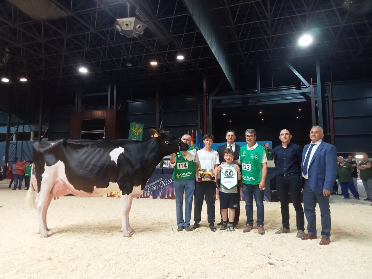 ¡Vitoria para Badiola Crushabull Kinin no Rexional de Asturias!