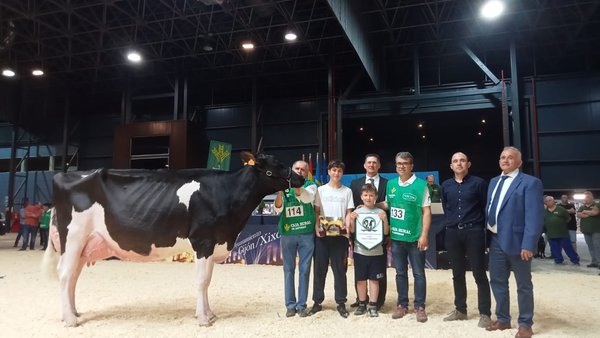 ¡Vitoria para Badiola Crushabull Kinin no Rexional de Asturias!