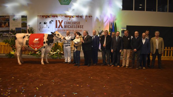 Triunfo para Haroldo Maravilha