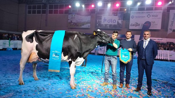 Vitoria para Copada Solomon Berna en Dos Torres