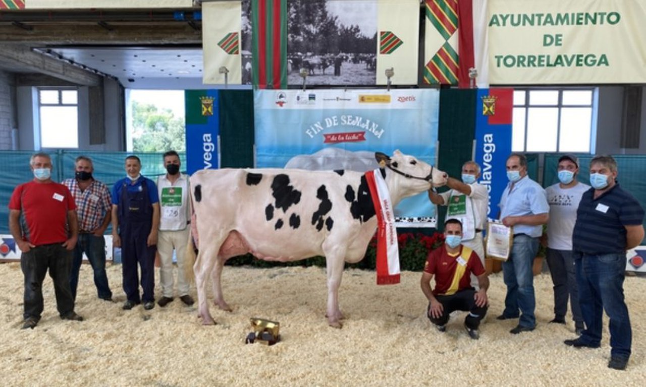 Fotos e información: AFCA (Asociación Frisona de Cantabria)