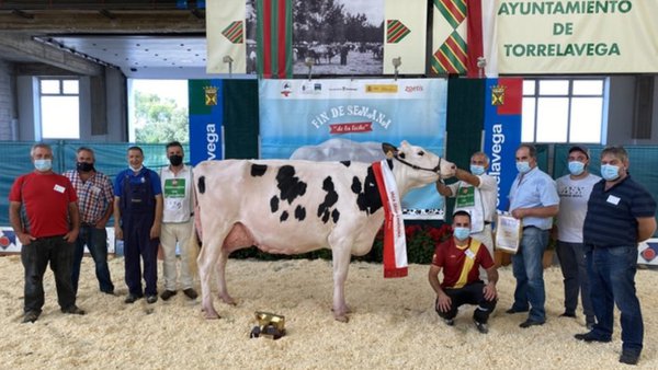 Fotos e información: AFCA (Asociación Frisona de Cantabria)