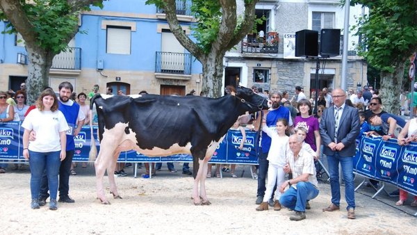 Ondazarte Sid Tximistarri, gran campiona do Concurso de Irún