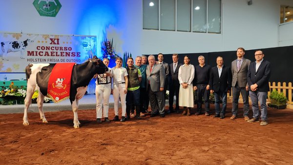 Miranda álzase co título de xovenca gran campiona no XI Concurso Micaelense de Azores