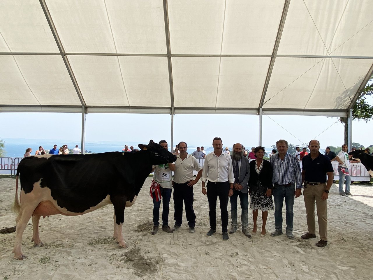 Molino Ruedas York Windbrook conquista o primeiro Expogan en Santander